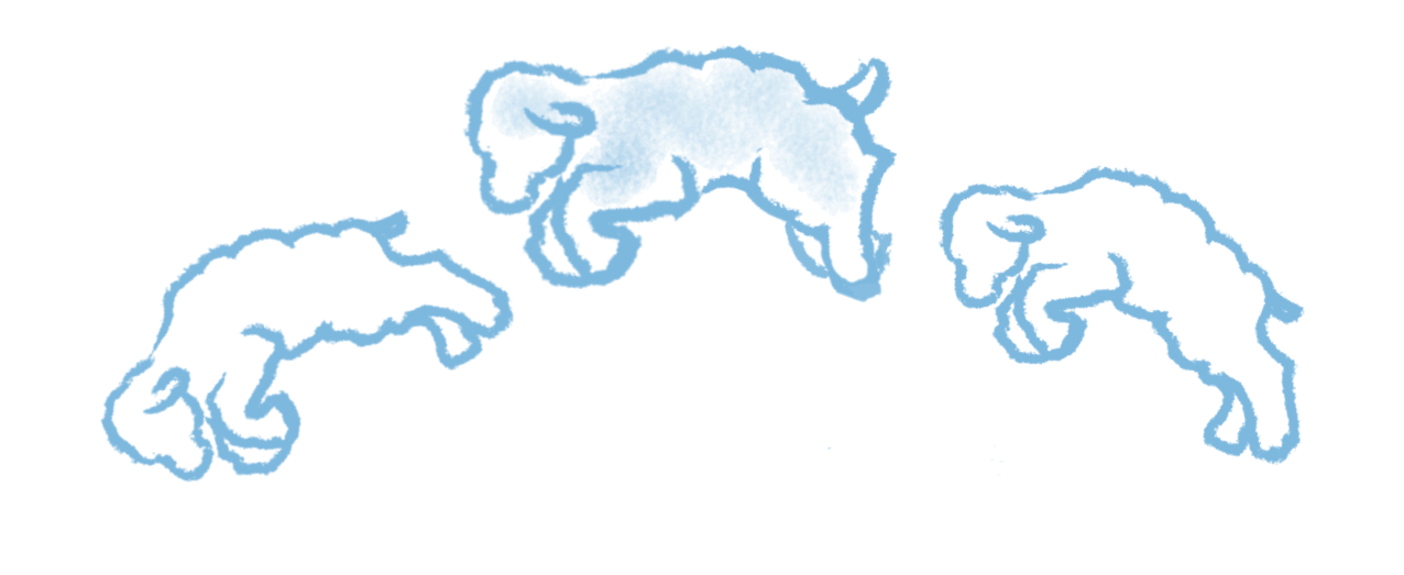 Three jumping sheep